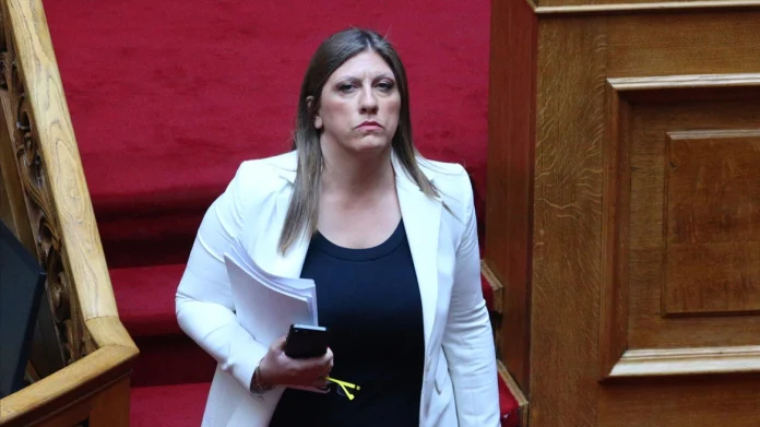 Όσα σήμερα δημοσιεύονται ως πορίσματά του έρχονται σε ευθεία αντίφαση με τα πειράματα που έχει διεξαγάγει, αναφέρει η πρόεδρος της Πλεύσης Ελευθερίας.