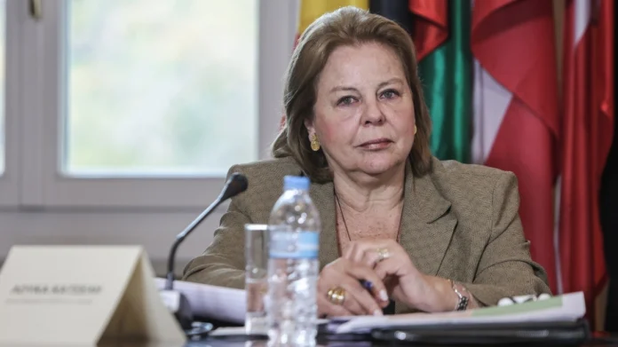 Η πρώην υπουργός αναφέρθηκε στις ζυμώσεις στο εσωτερικό της κεντροαριστεράς – Για το ζήτημα των συνεργασιών προέταξε την ανάγκη προγραμματικής βάσης.