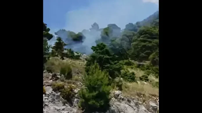 Η φωτιά εκδηλώθηκε δυτικά του οικισμού του Αγίου Νεκταρίου.